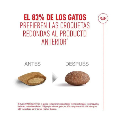 Royal Canin Ageing Sterilised 11+ Pienso para Gatos Senior Esterilizados ROYAL CANIN Mascotas-Ávila