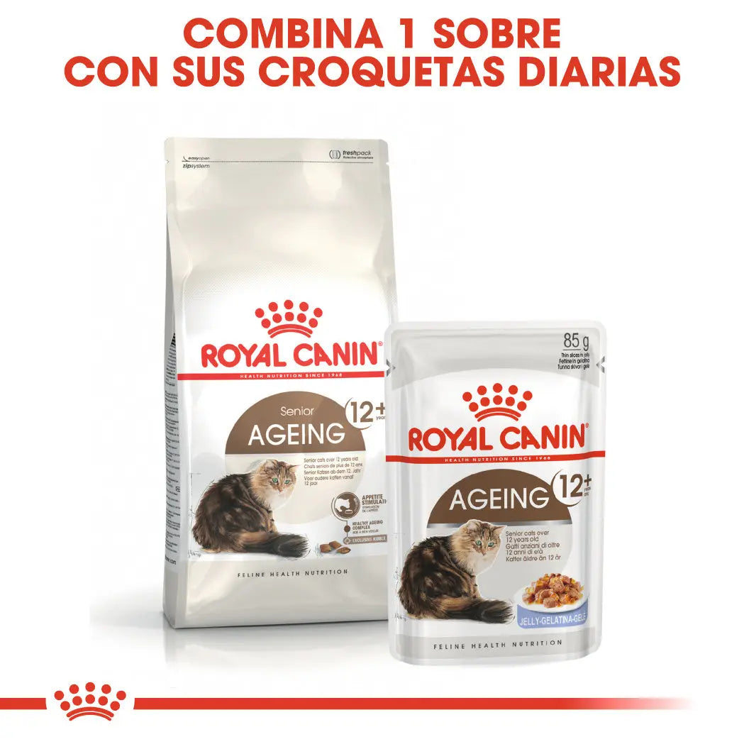 Royal Canin Ageing +12 Pienso para Gatos Senior ROYAL CANIN Mascotas-Ávila