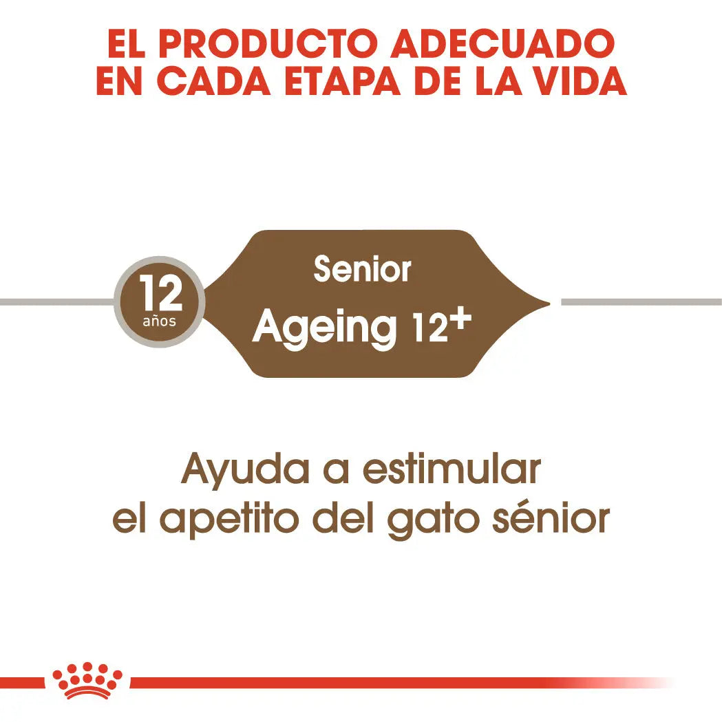 Royal Canin Ageing +12 Pienso para Gatos Senior ROYAL CANIN Mascotas-Ávila