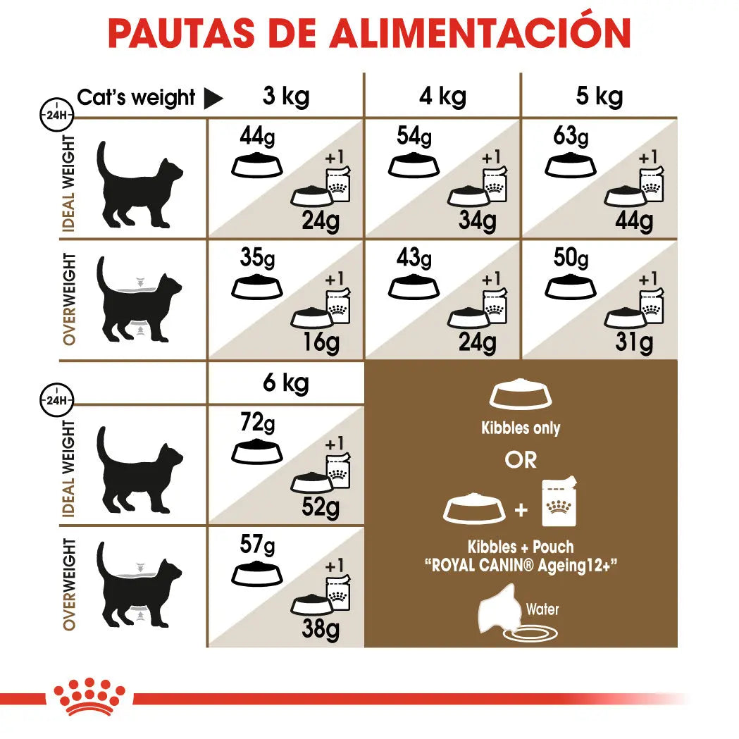 Royal Canin Ageing +12 Pienso para Gatos Senior ROYAL CANIN Mascotas-Ávila