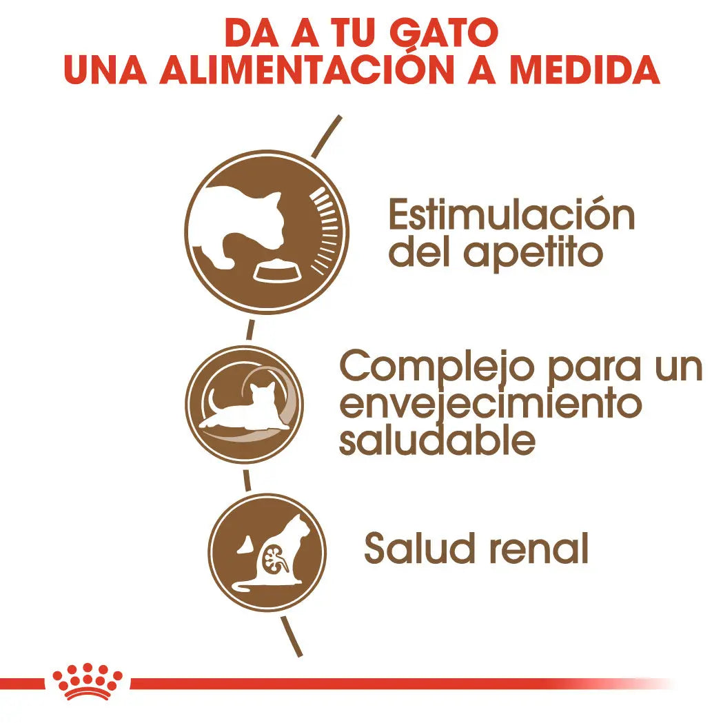 Royal Canin Ageing +12 Pienso para Gatos Senior ROYAL CANIN Mascotas-Ávila