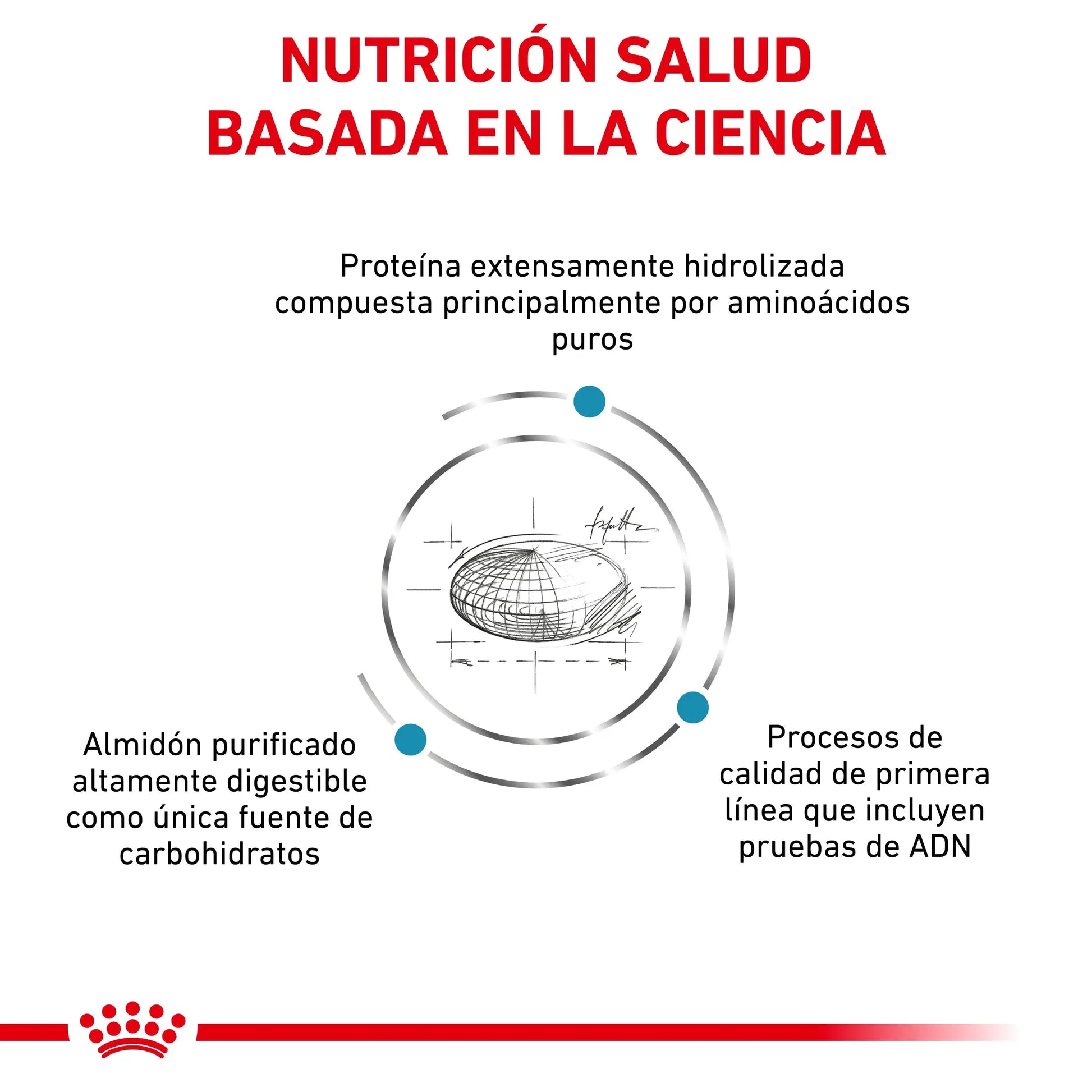 Royal Canin Anallergenic | Pienso para Gatos con Intolerancias y Alergias Alimentarias ROYAL CANIN VET Mascotas-Ávila