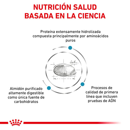 Royal Canin Anallergenic | Pienso para Gatos con Intolerancias y Alergias Alimentarias ROYAL CANIN VET Mascotas-Ávila