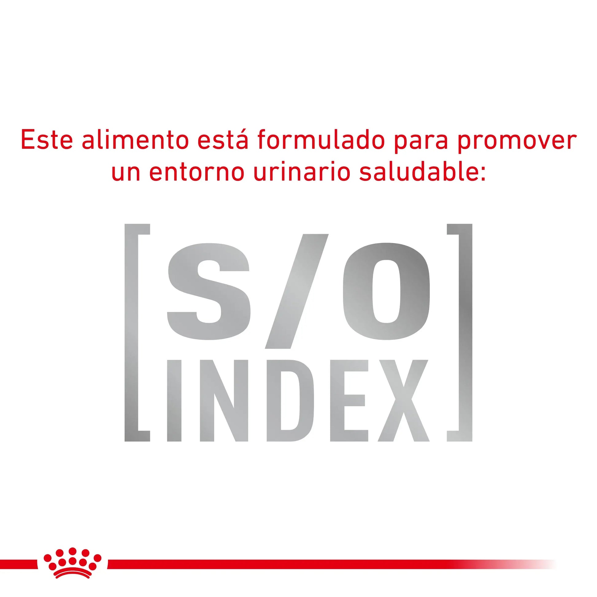 Royal Canin Anallergenic | Pienso para Gatos con Intolerancias y Alergias Alimentarias ROYAL CANIN VET Mascotas-Ávila