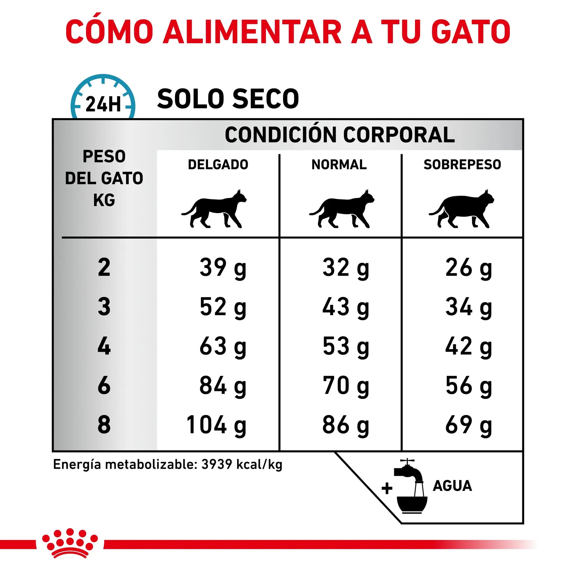 Royal Canin Anallergenic | Pienso para Gatos con Intolerancias y Alergias Alimentarias ROYAL CANIN VET Mascotas-Ávila