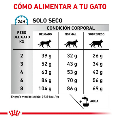 Royal Canin Anallergenic | Pienso para Gatos con Intolerancias y Alergias Alimentarias ROYAL CANIN VET Mascotas-Ávila