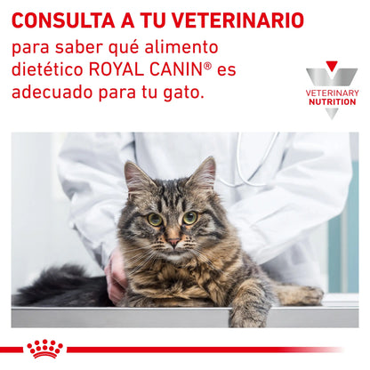 Royal Canin Anallergenic | Pienso para Gatos con Intolerancias y Alergias Alimentarias ROYAL CANIN VET Mascotas-Ávila