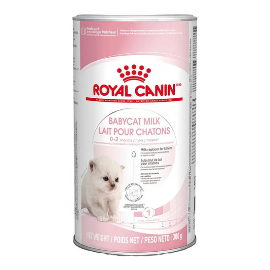 Royal Canin Babycat Milk 300 g Kit Leche en Polvo para Gatitos ROYAL CANIN Mascotas-Ávila