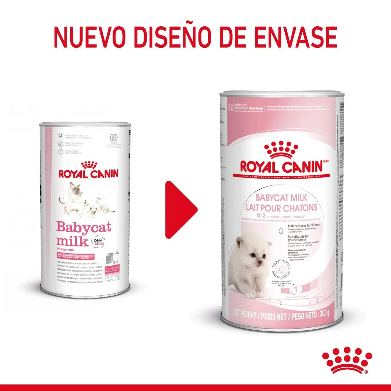 Royal Canin Babycat Milk 300 g Kit Leche en Polvo para Gatitos ROYAL CANIN Mascotas-Ávila