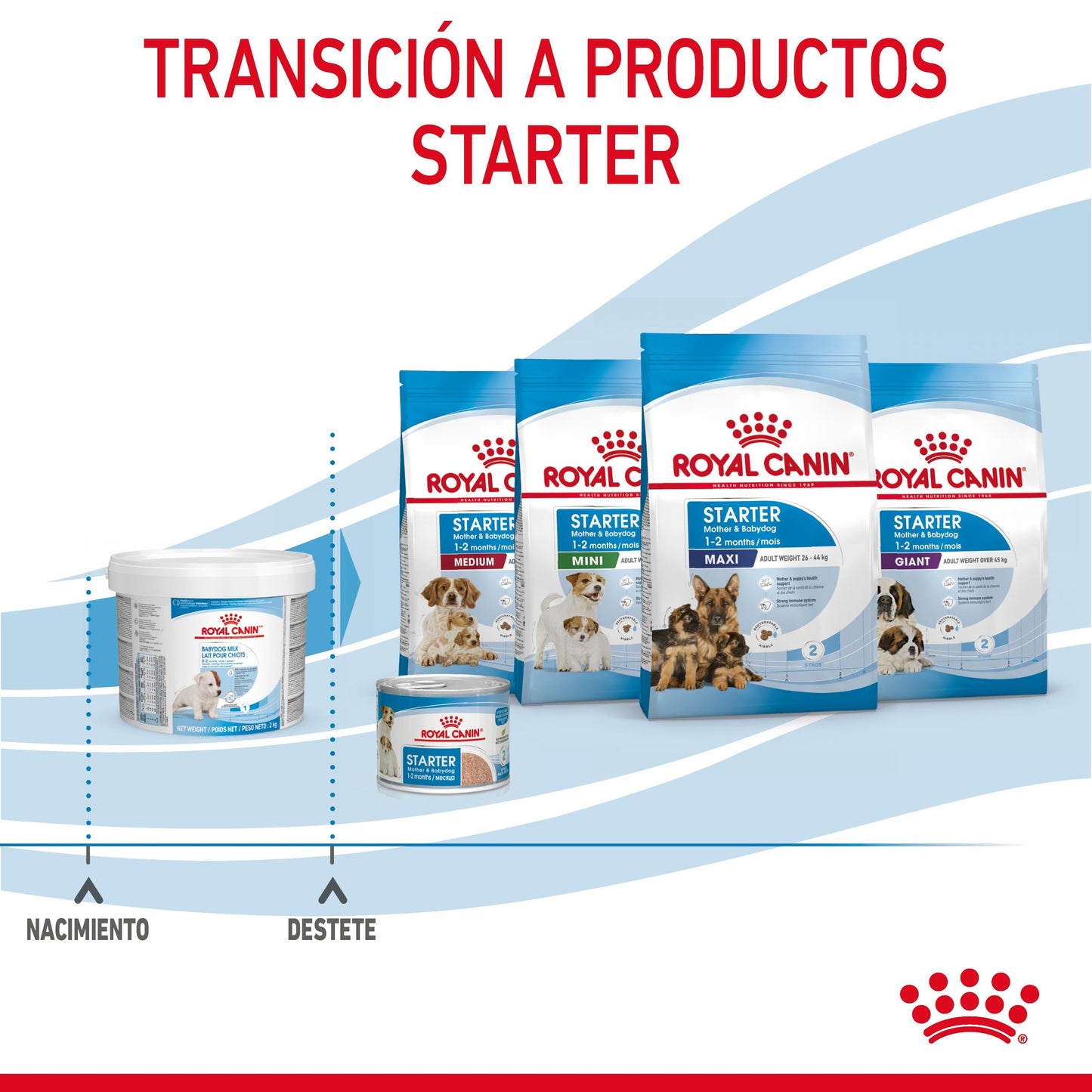 Royal Canin Babydog Milk Leche en Polvo para Cachorros ROYAL CANIN Mascotas-Ávila