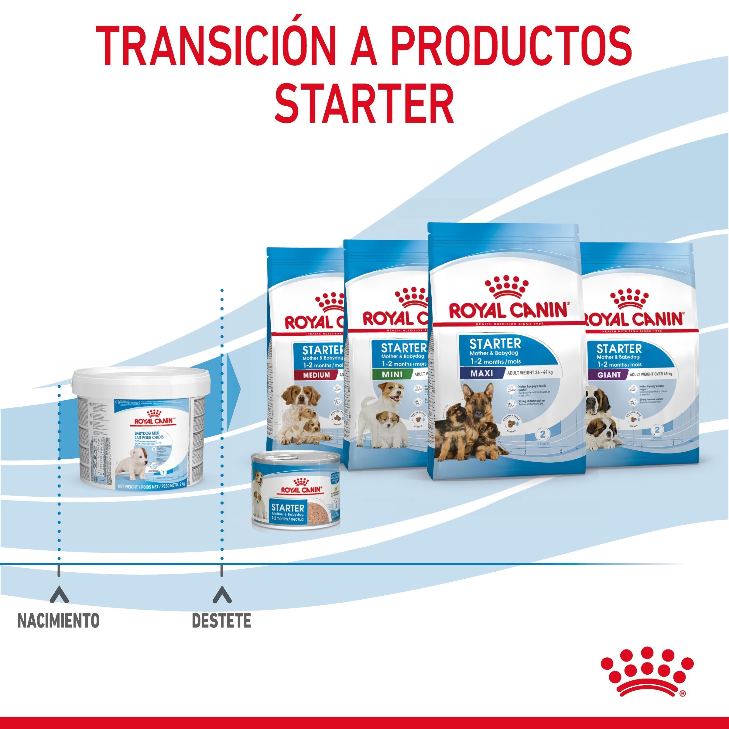 Royal Canin Babydog Milk Leche en Polvo para Cachorros ROYAL CANIN Mascotas-Ávila