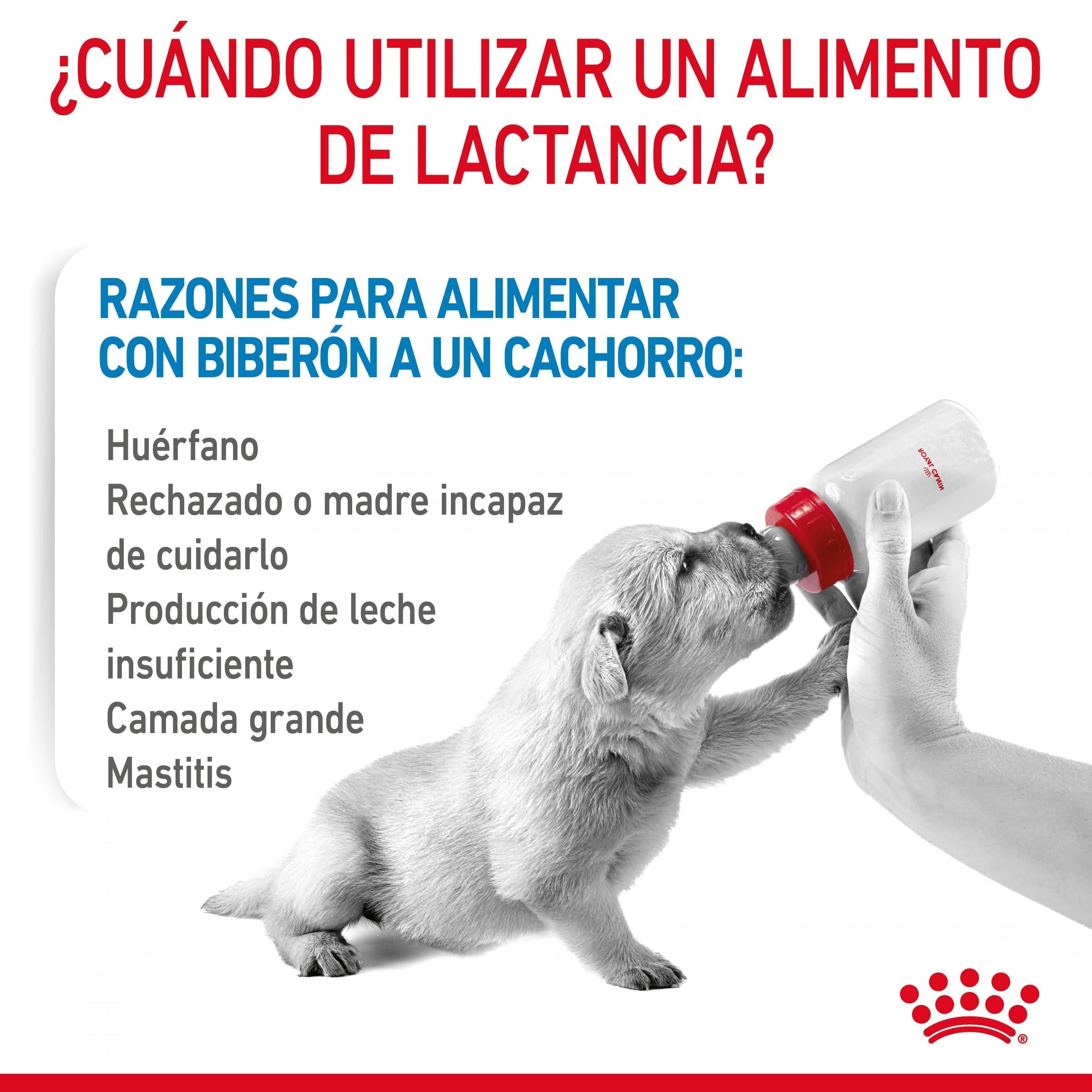 Royal Canin Babydog Milk Leche en Polvo para Cachorros ROYAL CANIN Mascotas-Ávila