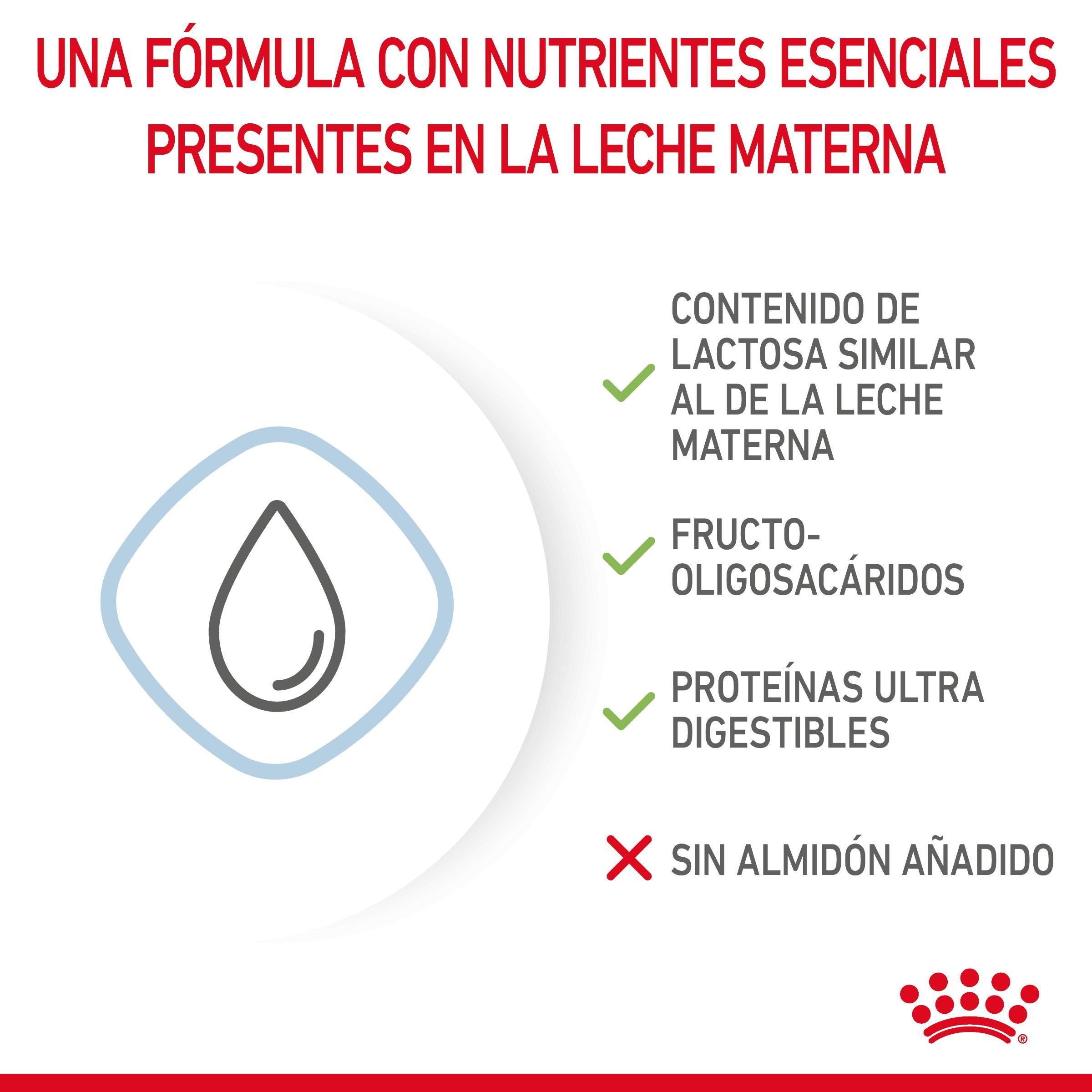 Royal Canin Babydog Milk Leche en Polvo para Cachorros ROYAL CANIN Mascotas-Ávila