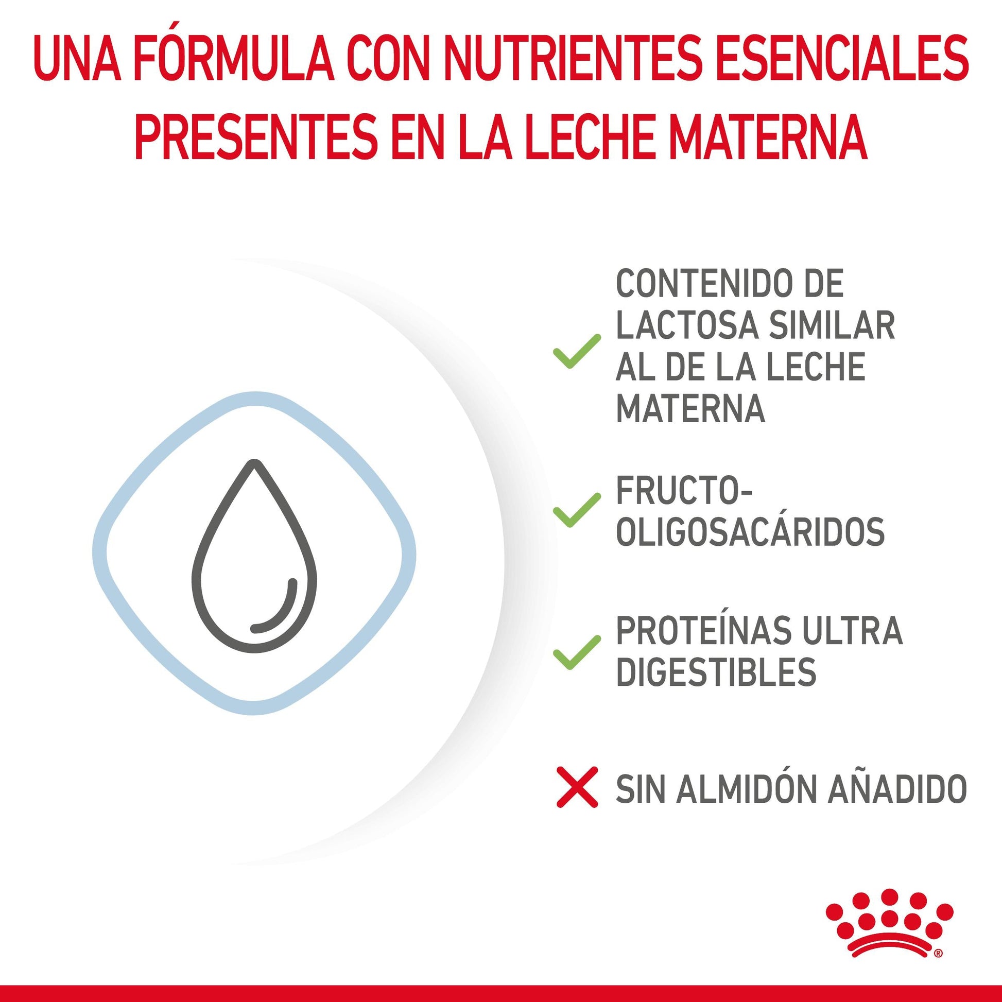 Royal Canin Babydog Milk Leche en Polvo para Cachorros ROYAL CANIN Mascotas-Ávila