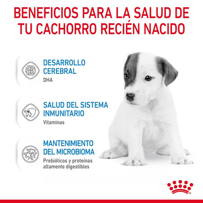 Royal Canin Babydog Milk Leche en Polvo para Cachorros ROYAL CANIN Mascotas-Ávila