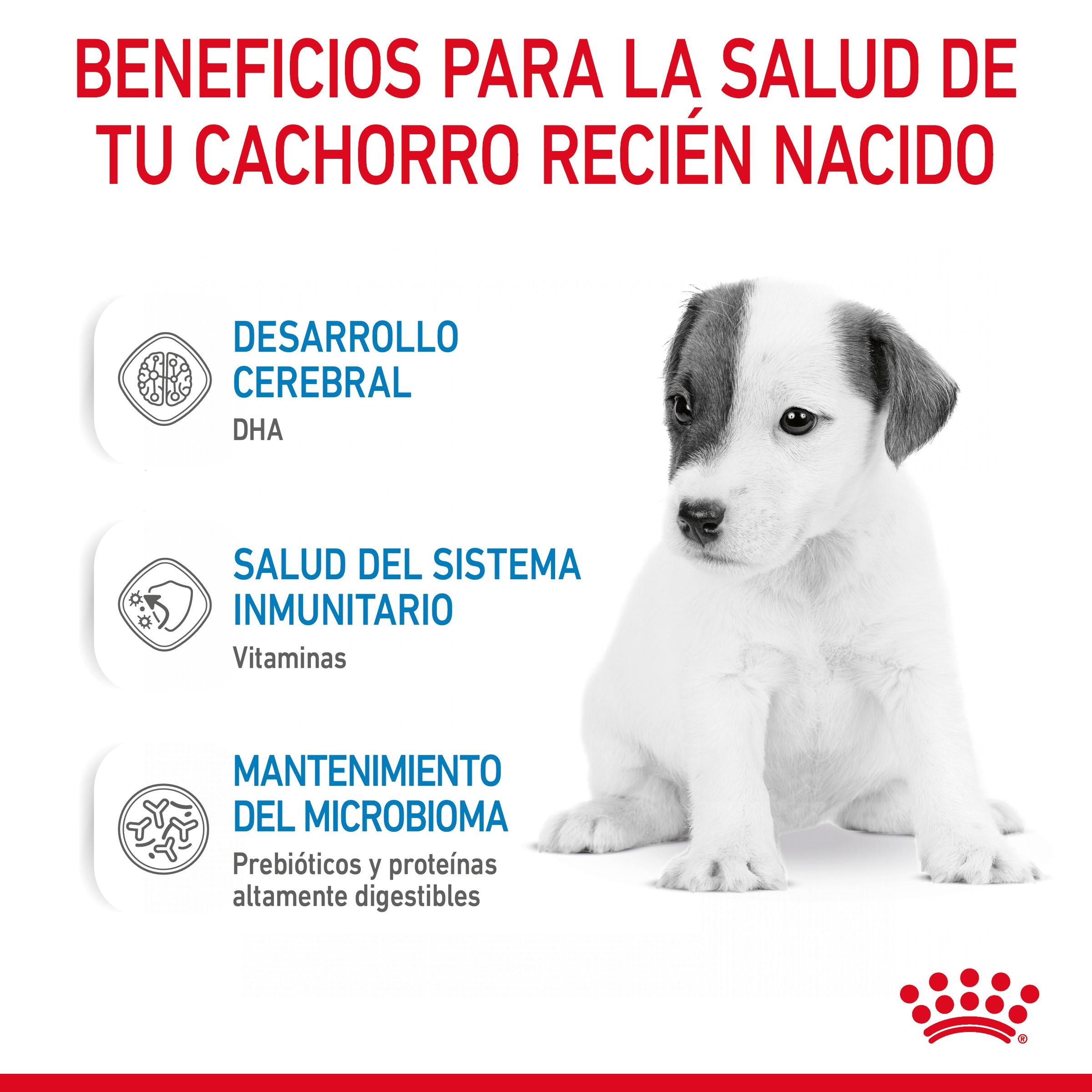 Royal Canin Babydog Milk Leche en Polvo para Cachorros ROYAL CANIN Mascotas-Ávila