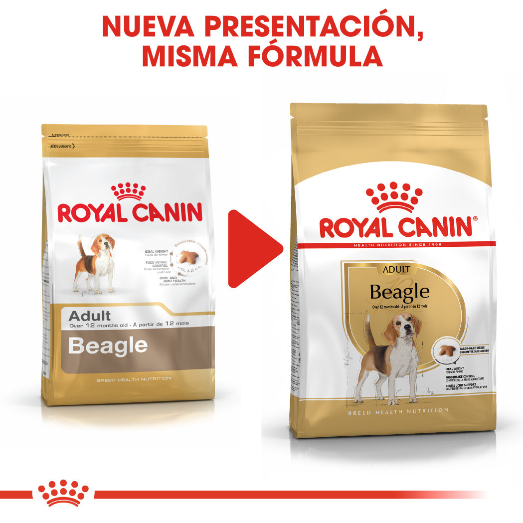 Royal Canin Beagle, Adulto ROYAL CANIN Mascotas-Ávila