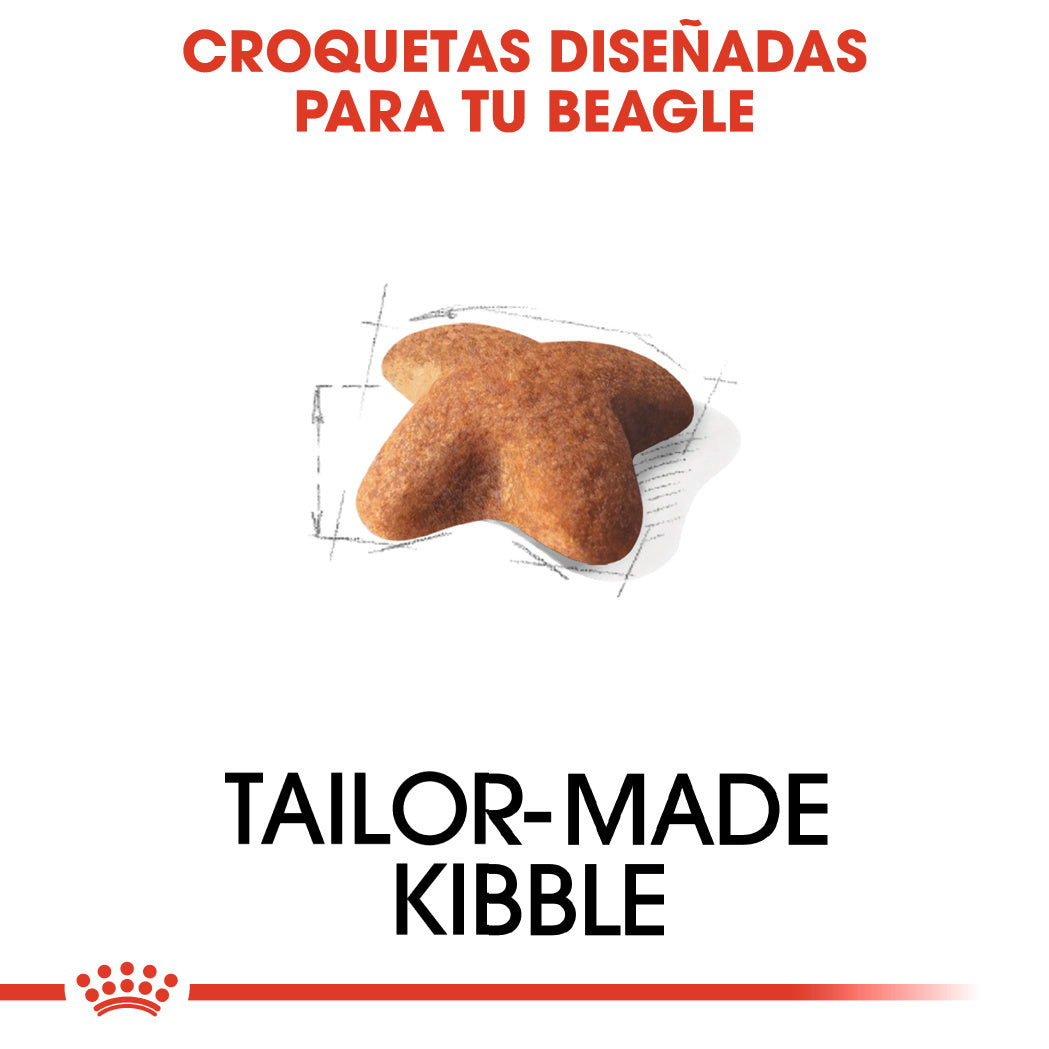 Royal Canin Beagle, Adulto ROYAL CANIN Mascotas-Ávila
