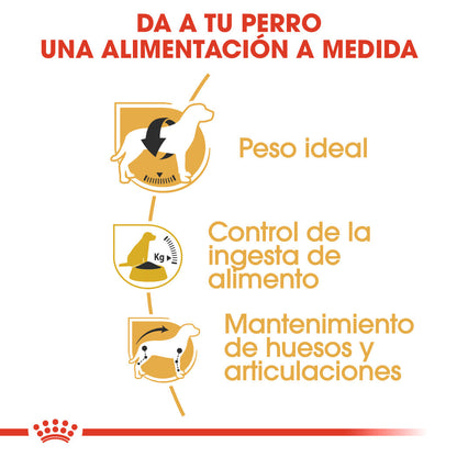 Royal Canin Beagle, Adulto ROYAL CANIN Mascotas-Ávila