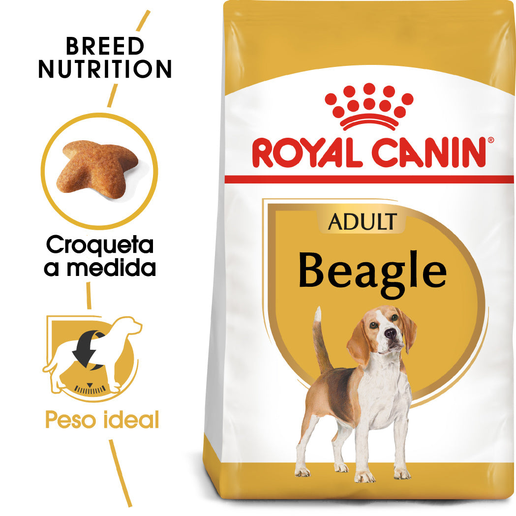 Royal Canin Beagle, Adulto ROYAL CANIN Mascotas-Ávila