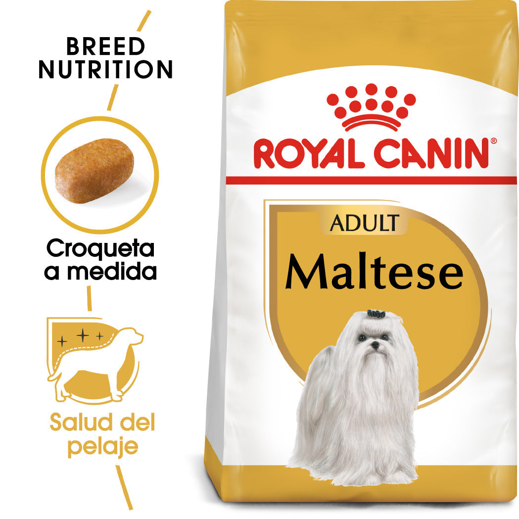 Royal Canin Bichón Maltés Pienso para Perros Adultos de Raza ROYAL CANIN Mascotas-Ávila