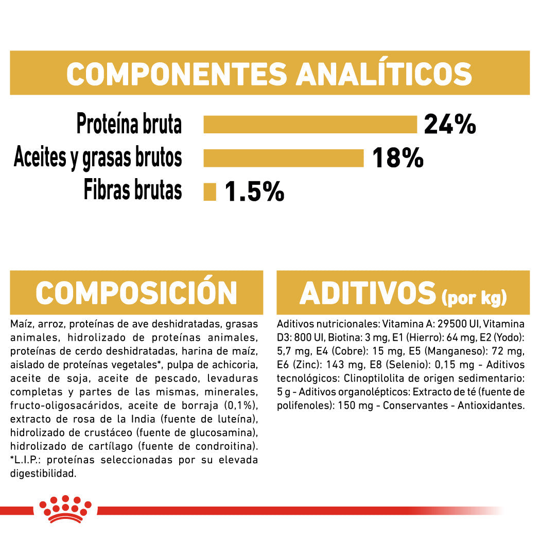 Royal Canin Bichón Maltés Pienso para Perros Adultos de Raza ROYAL CANIN Mascotas-Ávila
