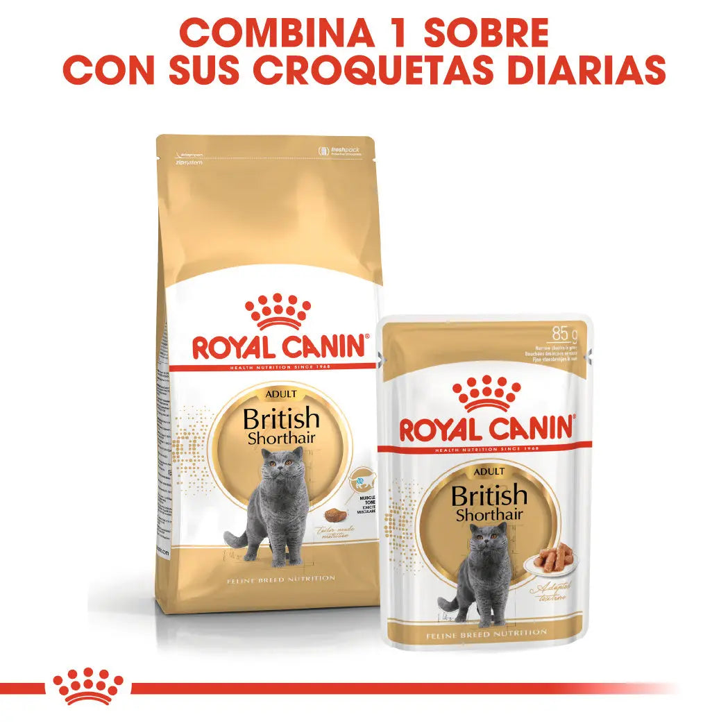 Royal Canin British Shorthair 2 kg Pienso para Gatos ROYAL CANIN Mascotas-Ávila