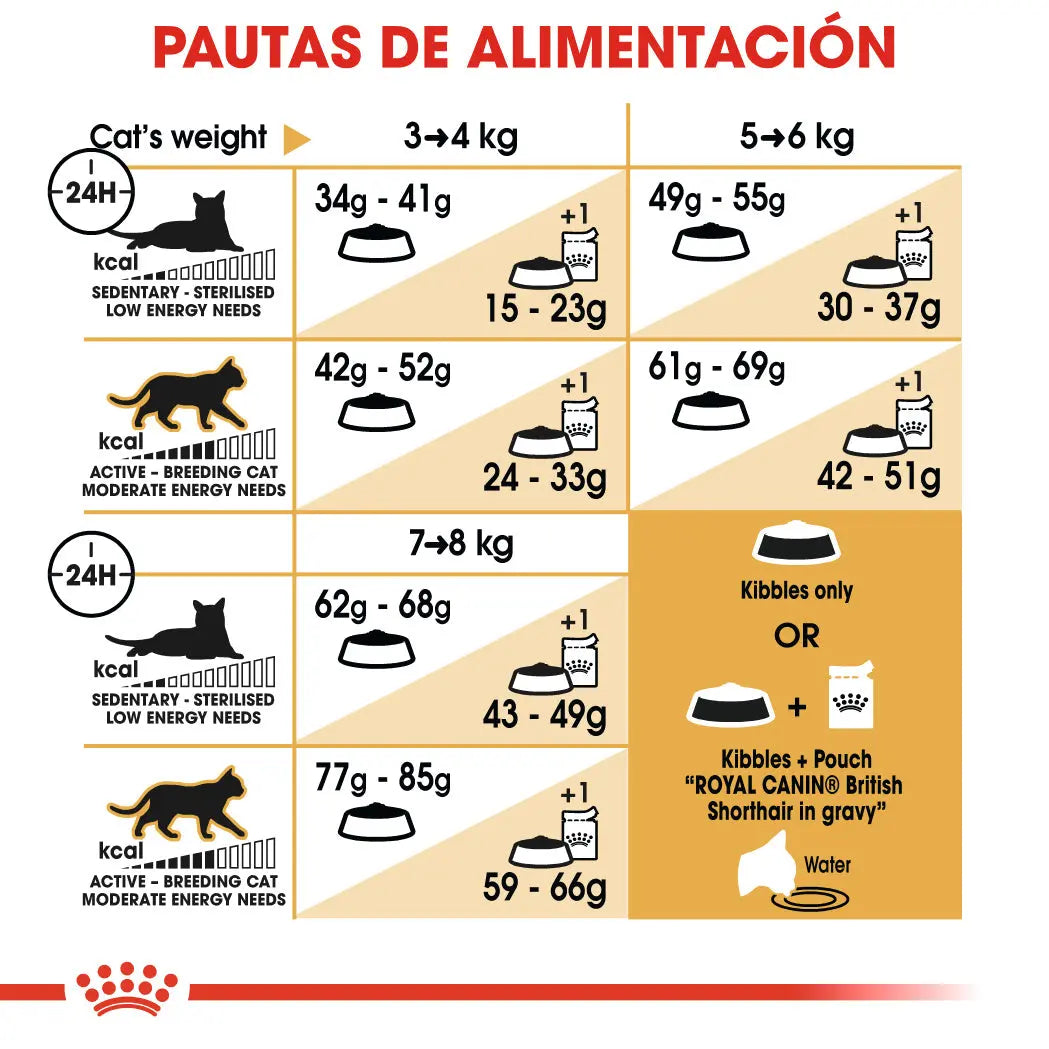 Royal Canin British Shorthair 2 kg Pienso para Gatos ROYAL CANIN Mascotas-Ávila