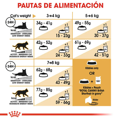 Royal Canin British Shorthair 2 kg Pienso para Gatos ROYAL CANIN Mascotas-Ávila