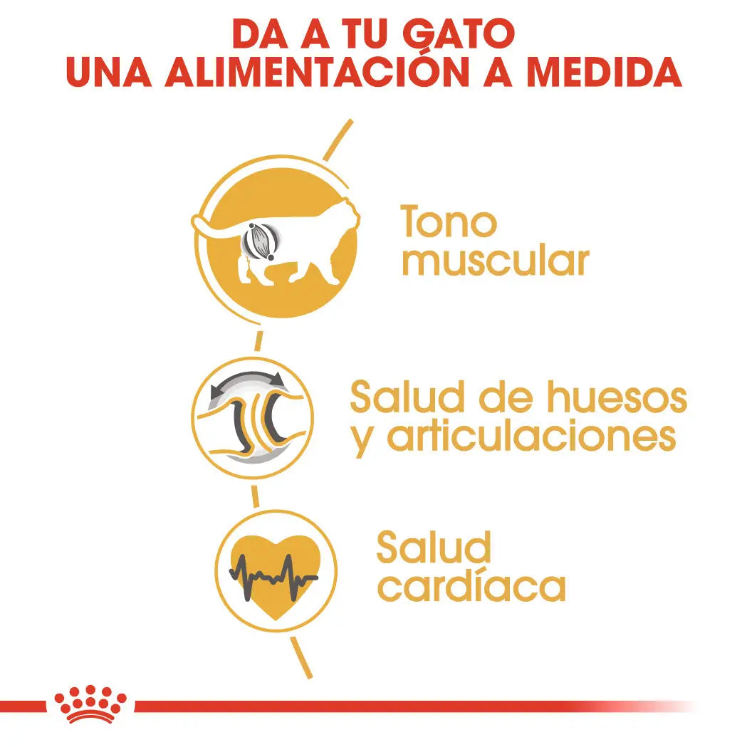 Royal Canin British Shorthair 2 kg Pienso para Gatos ROYAL CANIN Mascotas-Ávila