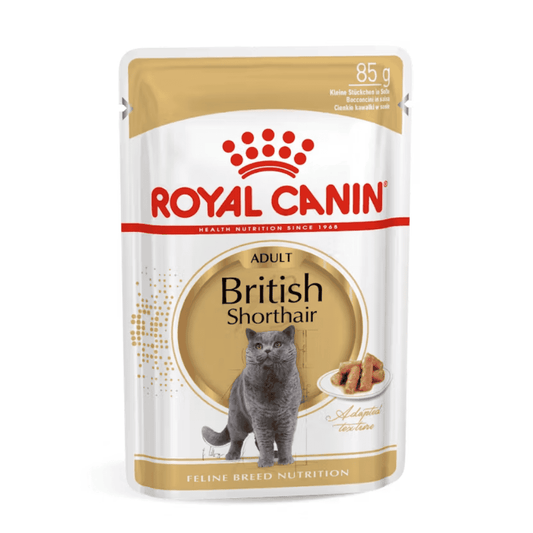 Royal Canin British Shorthair Sobre Paté Húmedo para Gatos ROYAL CANIN Mascotas-Ávila