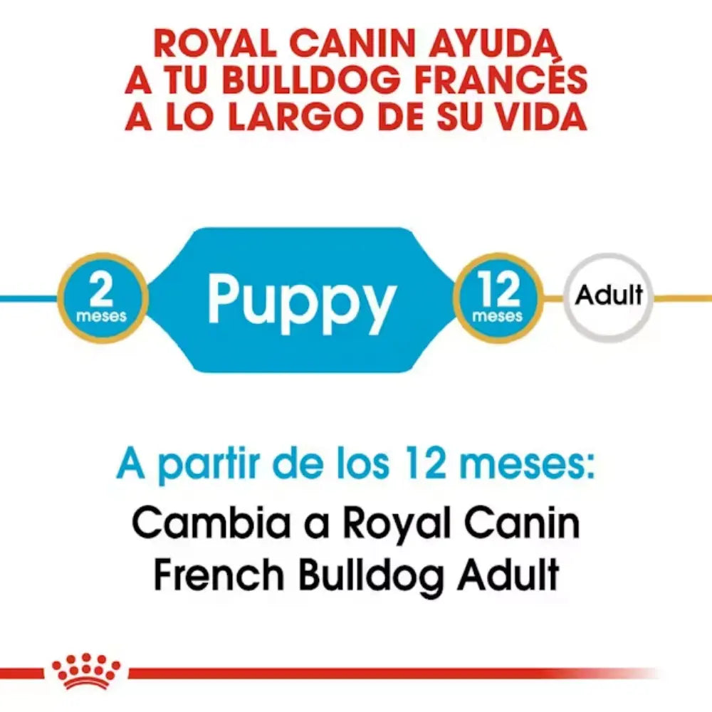 Royal Canin Bulldog Frances Puppy ROYAL CANIN Mascotas-Ávila