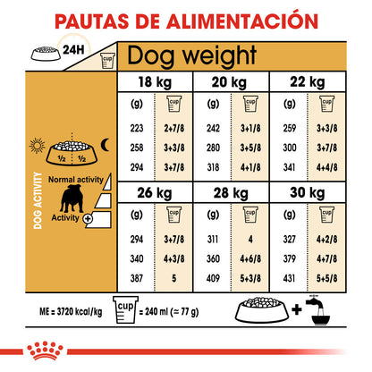 Royal Canin Bulldog Inglés Pienso para Perros de Raza Bulldog Adultos ROYAL CANIN Mascotas-Ávila