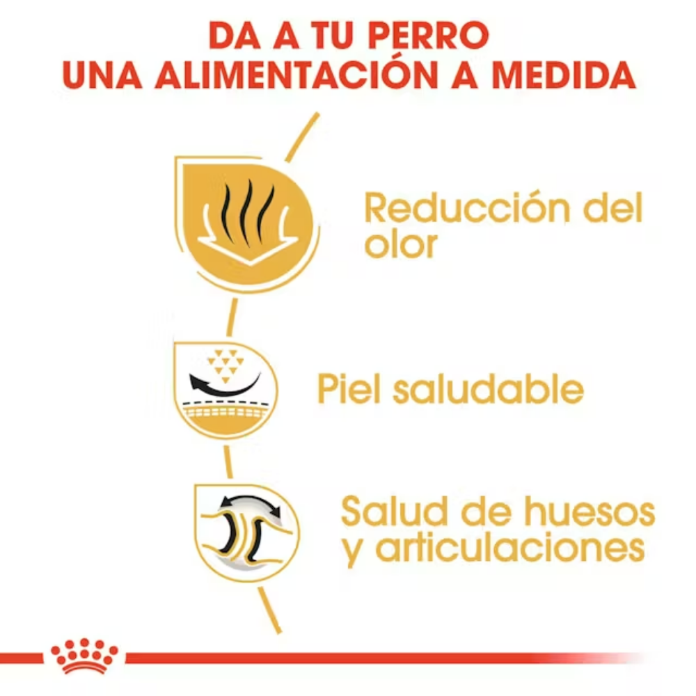 Royal Canin Bulldog Inglés Pienso para Perros de Raza Bulldog Adultos ROYAL CANIN Mascotas-Ávila