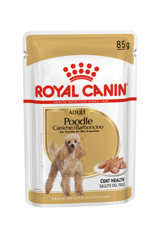 Royal Canin Caniche Poodle Paté Adulto 85 g Comida Húmeda para Perros ROYAL CANIN Mascotas-Ávila