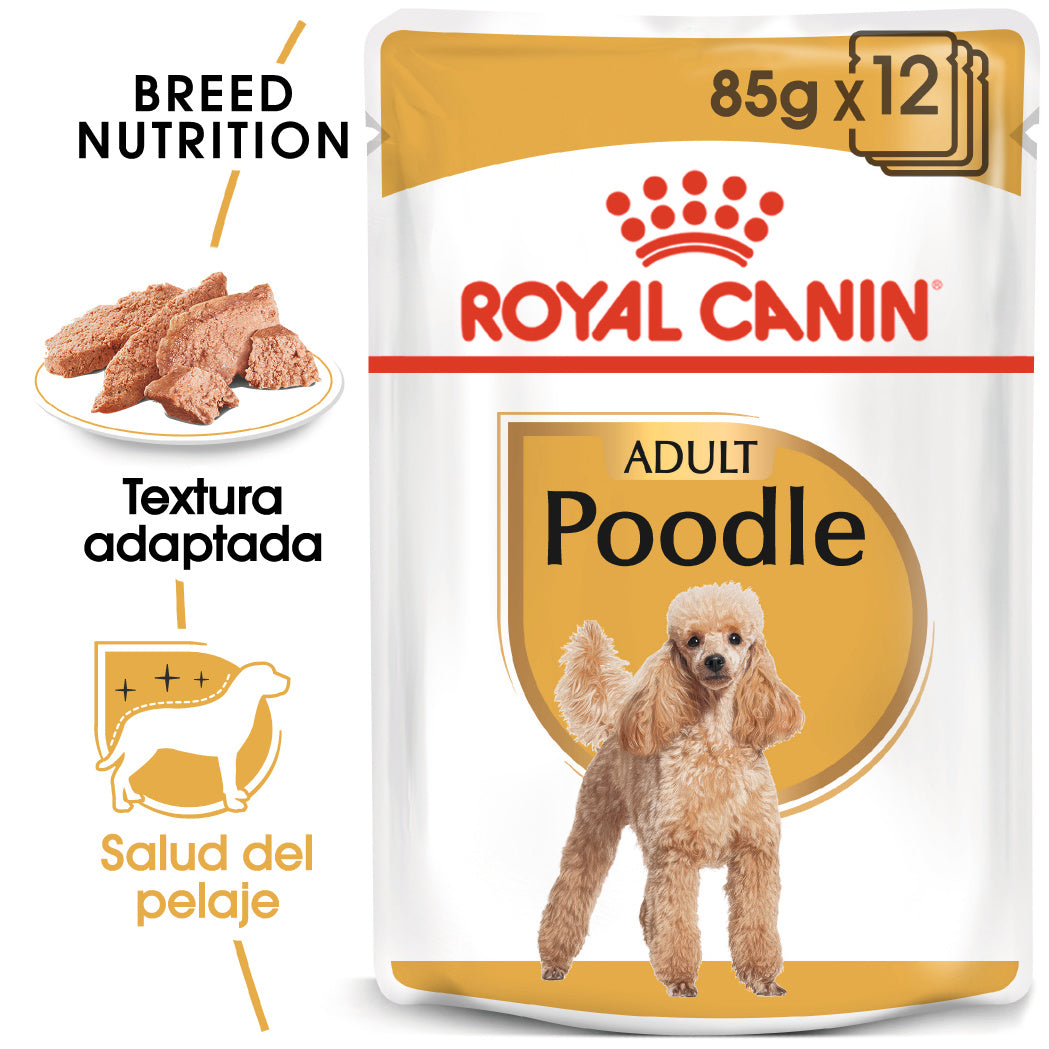 Royal Canin Caniche Poodle Paté Adulto 85 g Comida Húmeda para Perros ROYAL CANIN Mascotas-Ávila