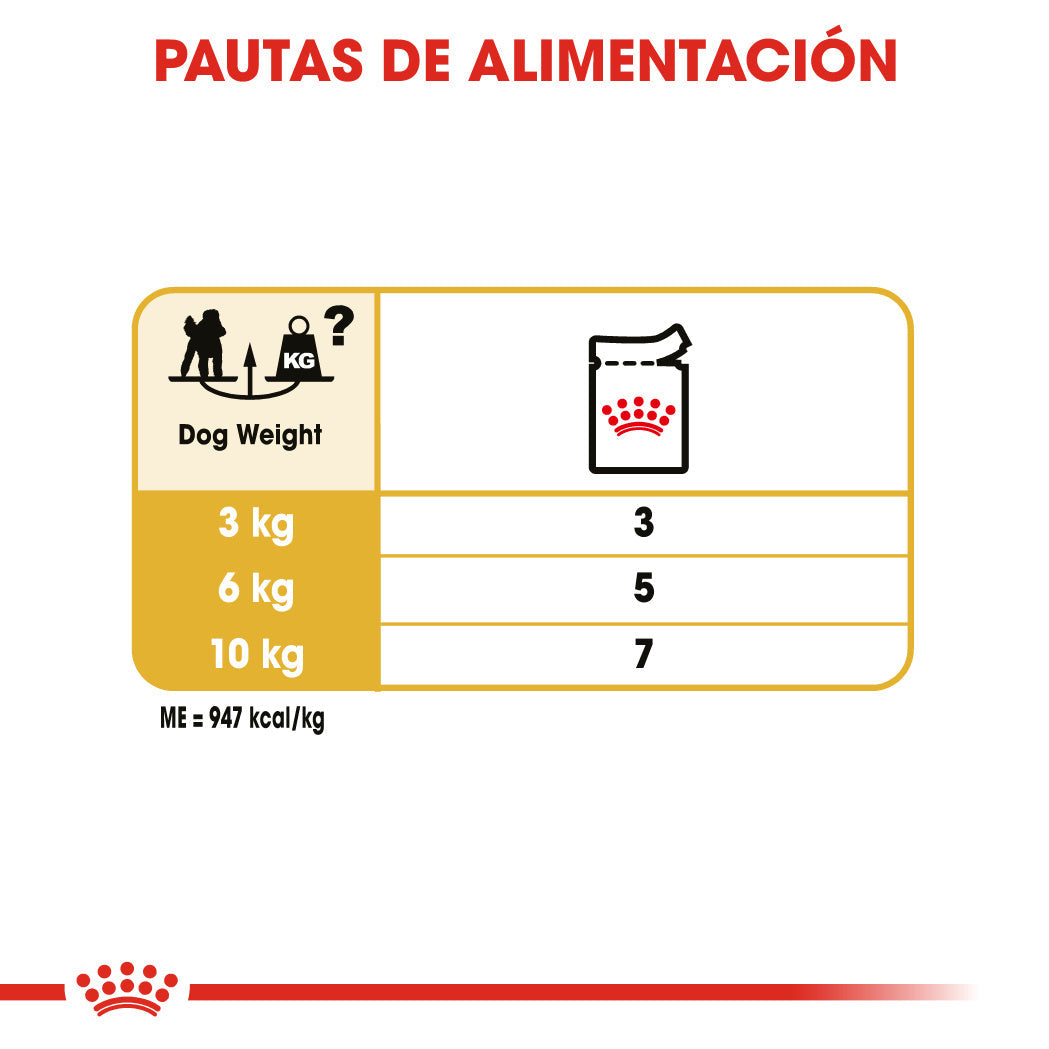 Royal Canin Caniche Poodle Paté Adulto 85 g Comida Húmeda para Perros ROYAL CANIN Mascotas-Ávila