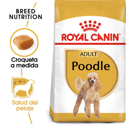 Royal Canin Caniche Poodle Pienso para Perros de Raza ROYAL CANIN Mascotas-Ávila