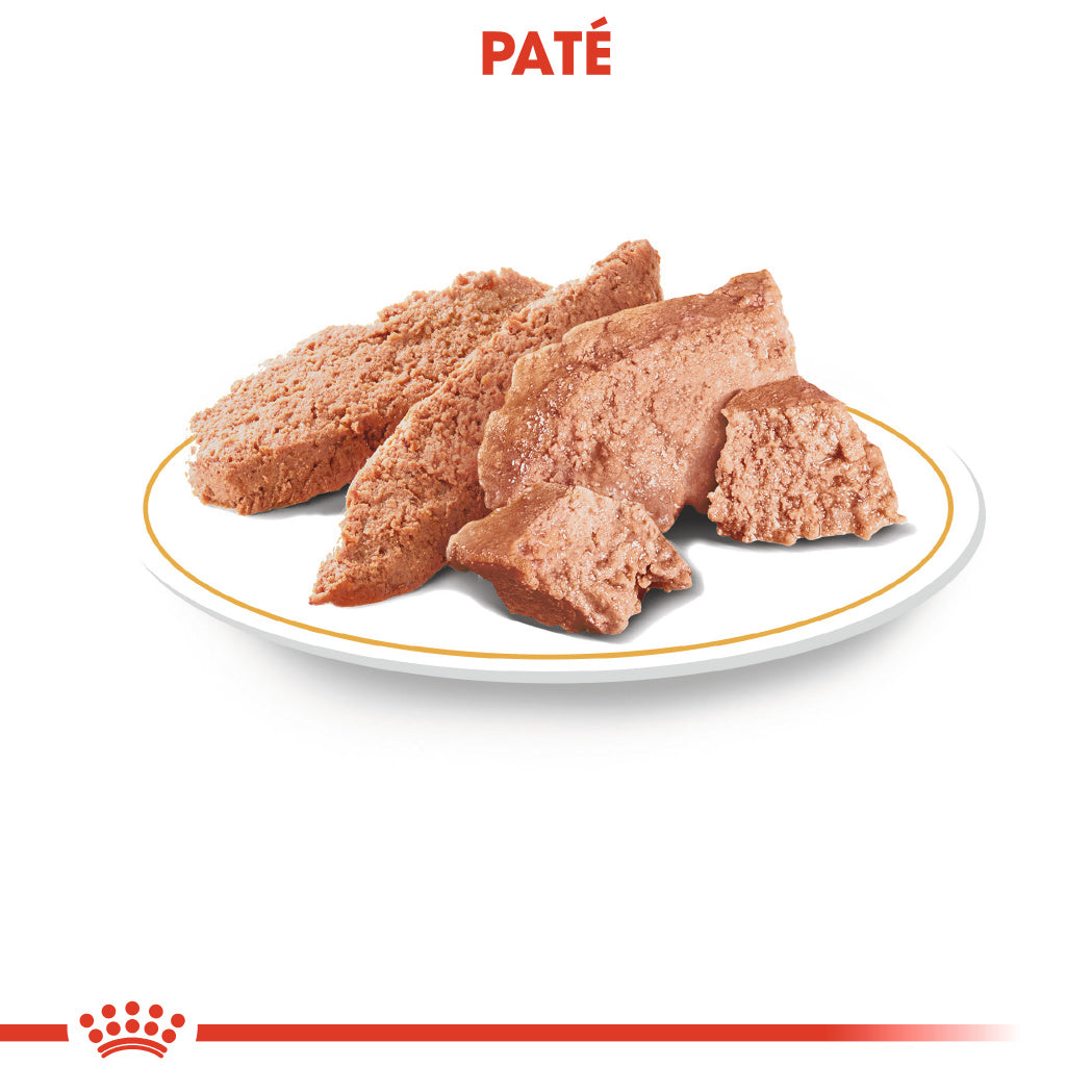 Royal Canin Chihuahua Paté Adulto 85 g Comida Húmeda para Perros ROYAL CANIN Mascotas-Ávila