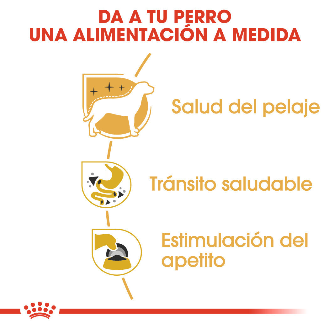 Royal Canin Chihuahua Paté Adulto 85 g Comida Húmeda para Perros ROYAL CANIN Mascotas-Ávila