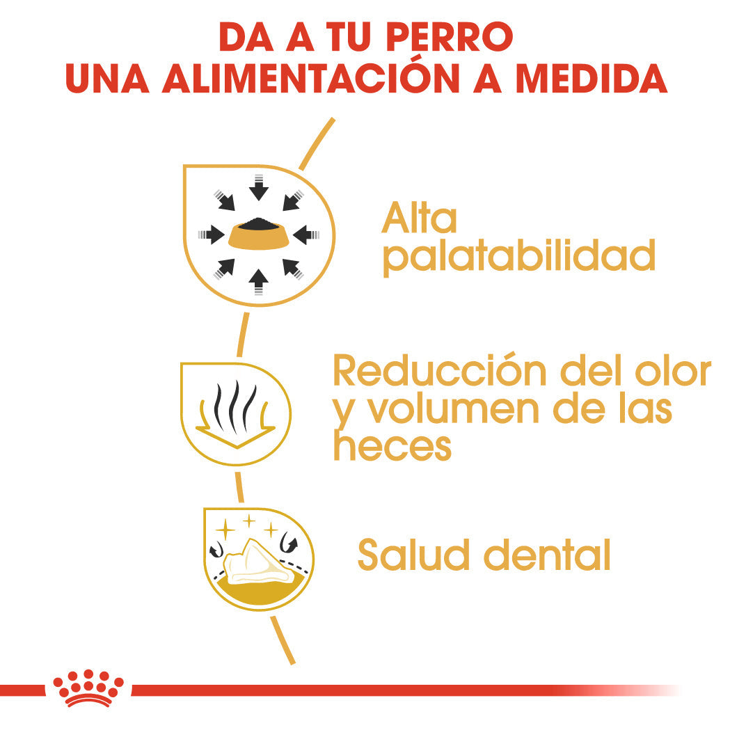 Royal Canin Chihuahua Pienso para Perros Adultos ROYAL CANIN Mascotas-Ávila