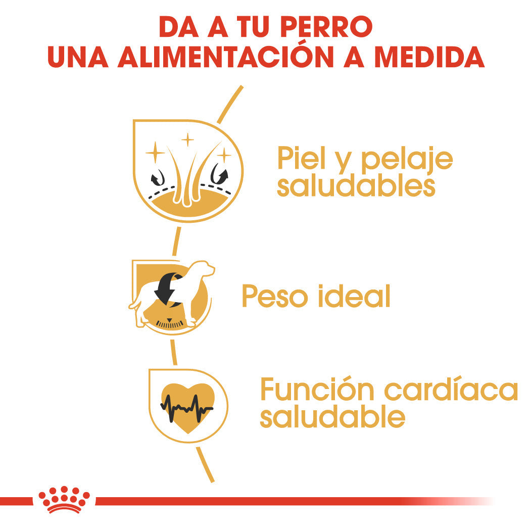 Royal Canin Cocker Spaniels Pienso para Perros de Raza ROYAL CANIN Mascotas-Ávila