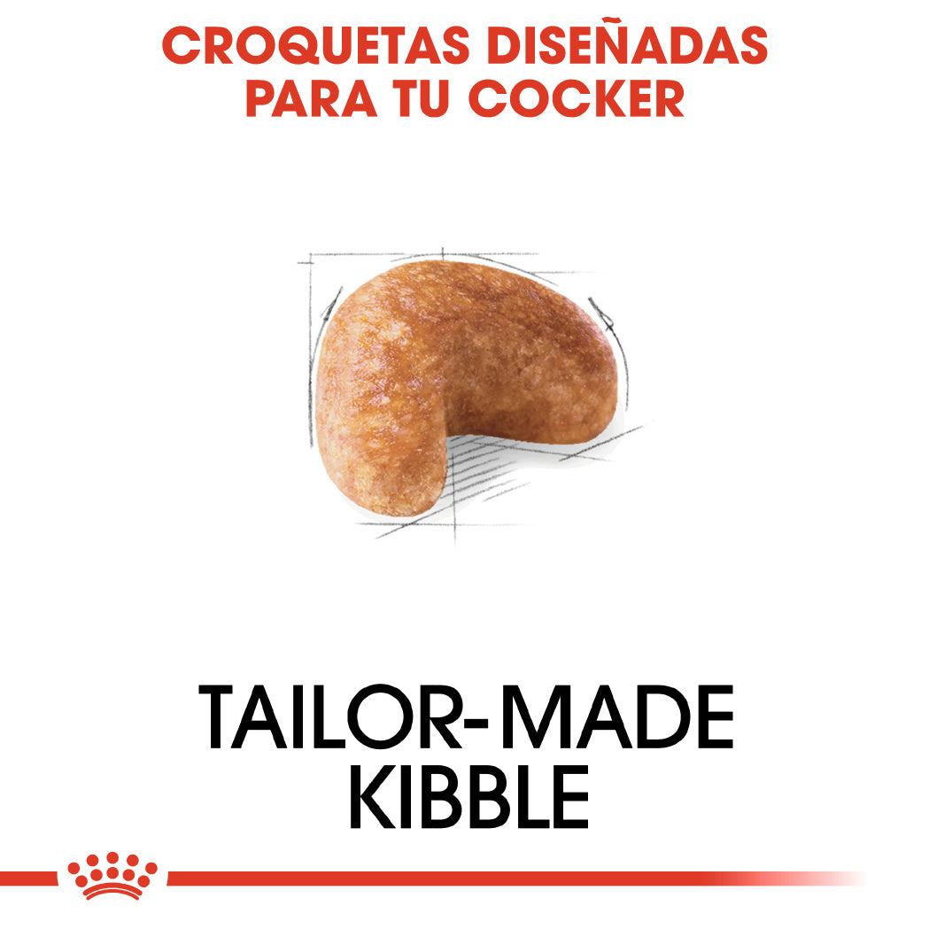 Royal Canin Cocker Spaniels Pienso para Perros de Raza ROYAL CANIN Mascotas-Ávila
