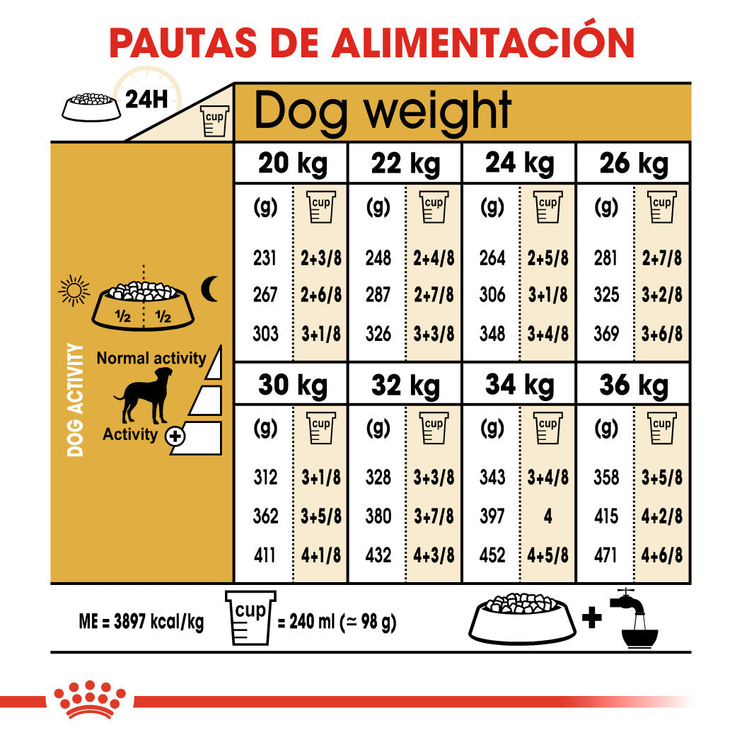Royal Canin Dálmata Pienso para Perros Adultos de Raza 12 kg ROYAL CANIN Mascotas-Ávila