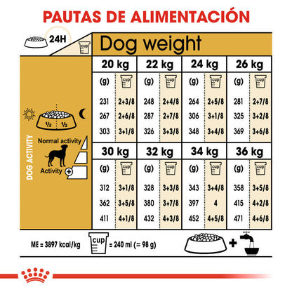 Royal Canin Dálmata Pienso para Perros Adultos de Raza 12 kg ROYAL CANIN Mascotas-Ávila