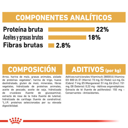 Royal Canin Dálmata Pienso para Perros Adultos de Raza ROYAL CANIN Mascotas-Ávila
