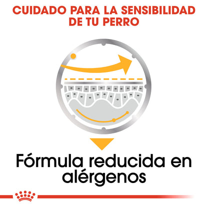 Royal Canin Dermacomfort Care Paté 85 g Comida Húmeda para Perros ROYAL CANIN Mascotas-Ávila