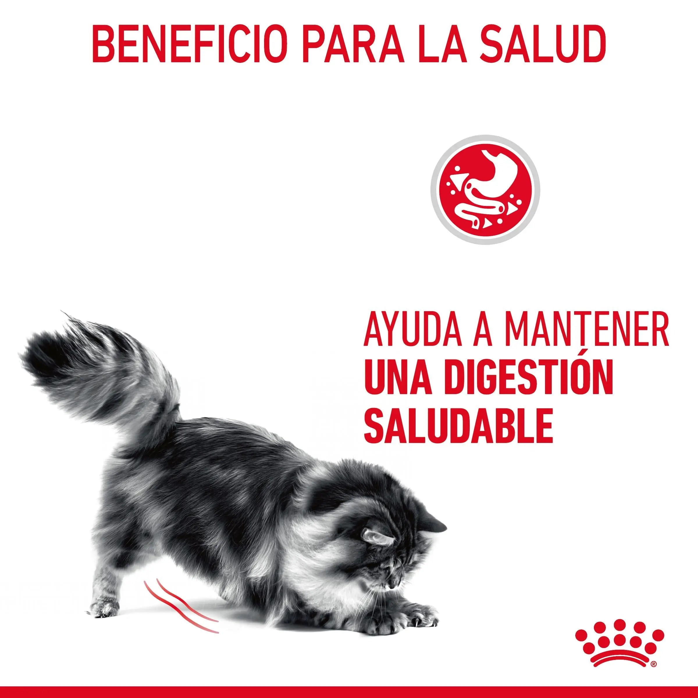 Royal Canin Digestive Care Finas Láminas en Salsa 85 g Húmedo para Gatos ROYAL CANIN Mascotas-Ávila