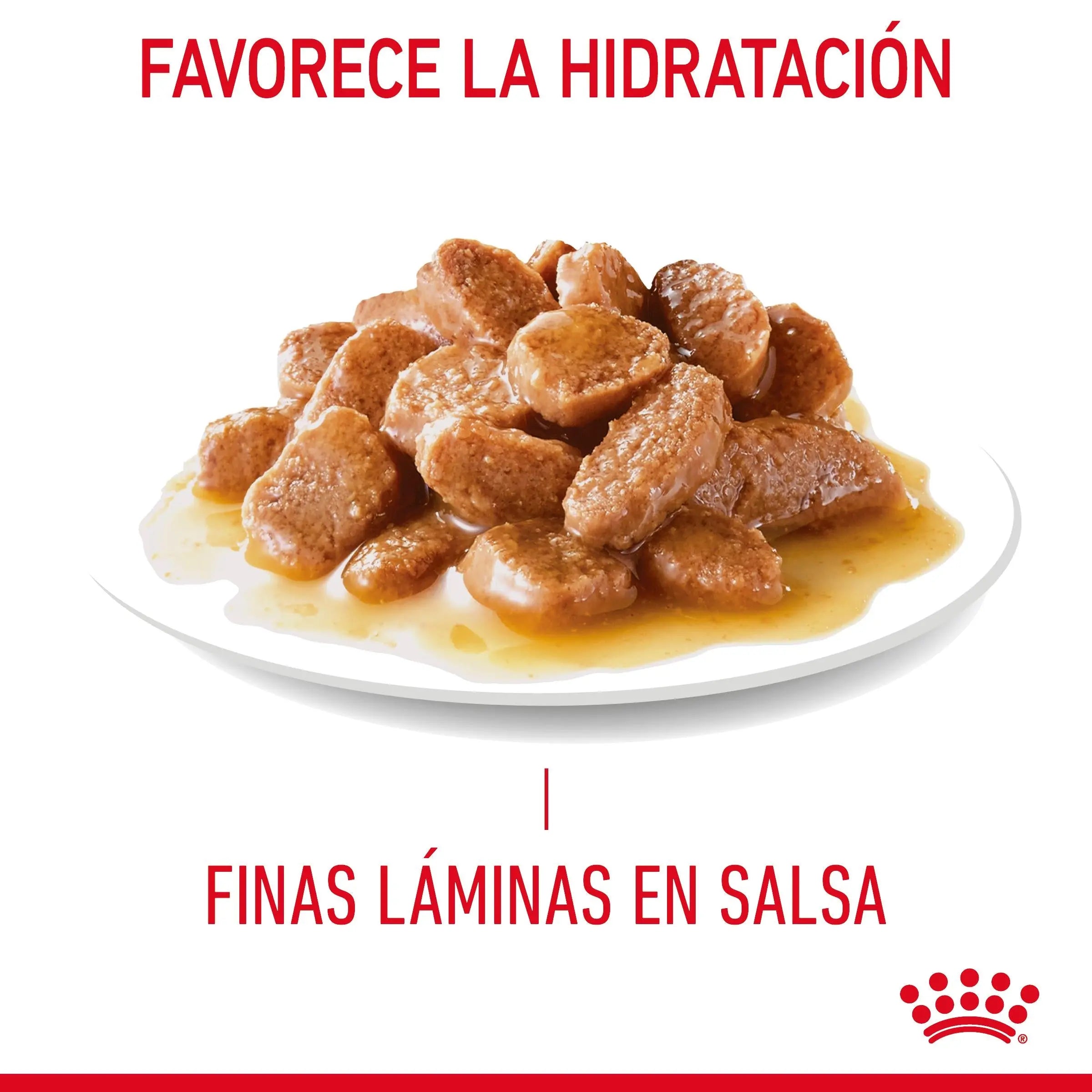 Royal Canin Digestive Care Finas Láminas en Salsa 85 g Húmedo para Gatos ROYAL CANIN Mascotas-Ávila
