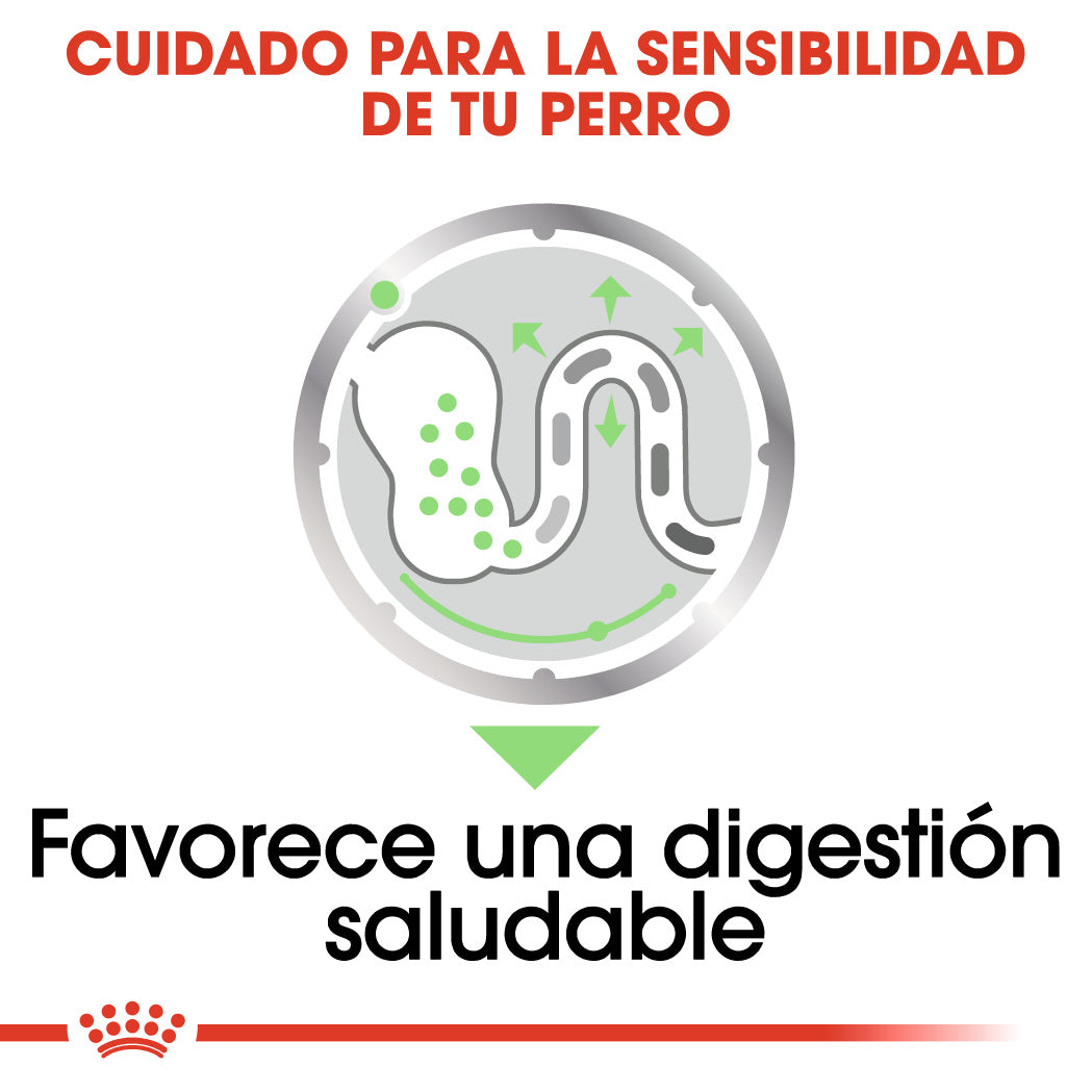 Royal Canin Digestive Care Paté 85 g Comida Húmeda para Perros ROYAL CANIN Mascotas-Ávila